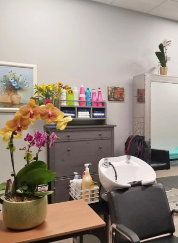 Salon interior with plants, shampoo bottles, a sink, and a stylist chair