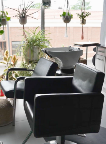 Two black chairs with armrests next to a sink and green indoor plants by a window