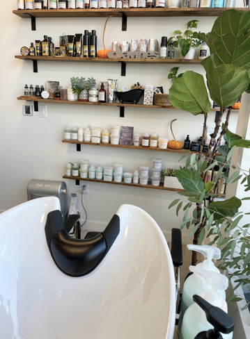 Hair wash basin in a salon with shelves of products and a potted plant nearby