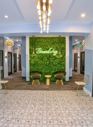 Interior hallway with green wall, two chairs, a table, and ceiling lights