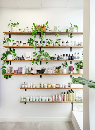 Shelves with bottles and jars of skincare products and potted plants on a white wall